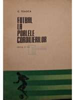 Fotbal la poalele cordilierilor, editia a II-a