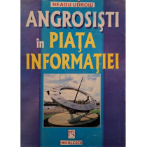 Angrosisti in piata informatiei