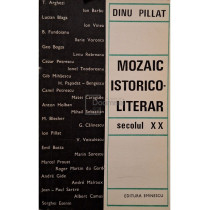 Mozaic istorico-literar secolul XX