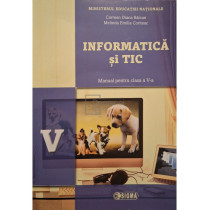 Informatica si tic