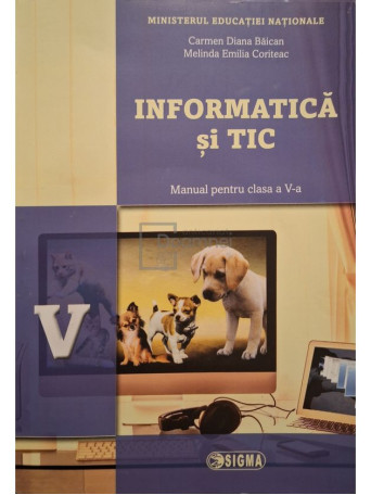 Carmen Diana Baican - Informatica si tic - 2017 - Brosata