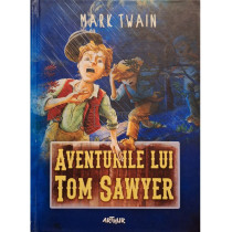 Aventurile lui Tom Sawyer