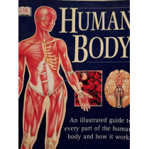 Human body