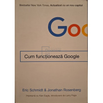 Cum functioneaza Google