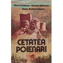 Cetatea Poienari