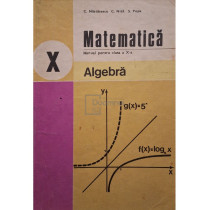 Matematica - Manual pentru clasa a X-a, algebra