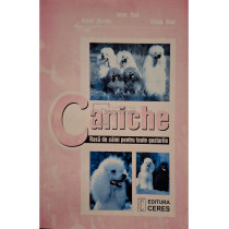 Caniche - Rasa de caini pentru toate gusturile