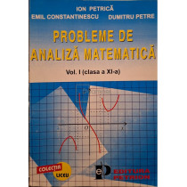 Probleme de analiza matematica, vol. 1 (clasa a XI-a)