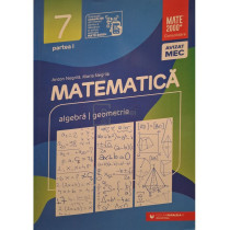 Matematica - Algebra, geometrie, clasa a VII-a, partea 1