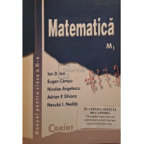 Matematica - Manual pentru clasa a XI-a