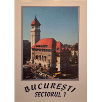 Bucuresti Sectorul 1