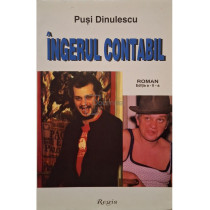 Ingerul contabil, editia a II-a