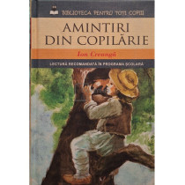 Amintiri din copilarie