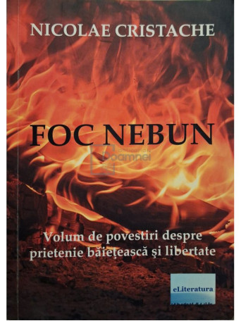 Nicolae Cristache - Foc nebun (semnata) - 2017 - Brosata