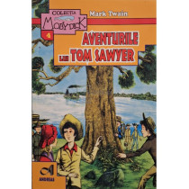 Aventurile lui Tom Sawyer