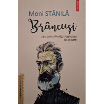 Brancusi sau cum a invatat testoasa sa zboare