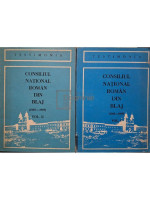 Consiliul National Roman din Blaj, 2 vol. (1918-1919) (semnata)