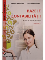 Bazele contabilitatii