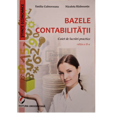 Bazele contabilitatii