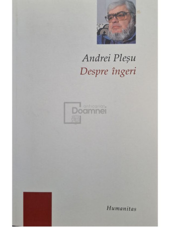 Andrei Plesu - Despre ingeri - 2006 - Brosata