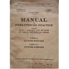 Manual de indeletniciri practice