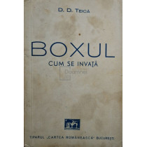 Boxul - Cum se invata