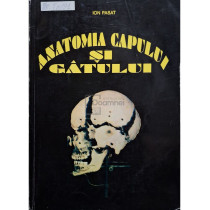 Anatomia capului si gatului