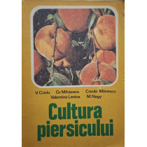 Cultura piersicului