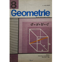 Geometrie - Manual pentru clasa a VIII-a