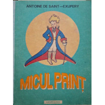 Micul Print