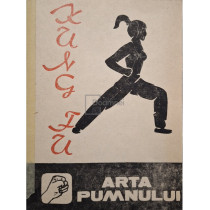 Kung fu - Arta pumnului