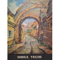 Sibiul vechi - Album cu vederi