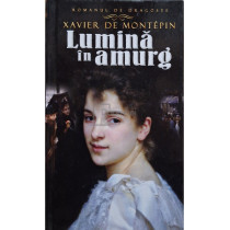 Lumina in amurg