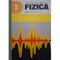 Fizica - Manual pentru clasa a Xa