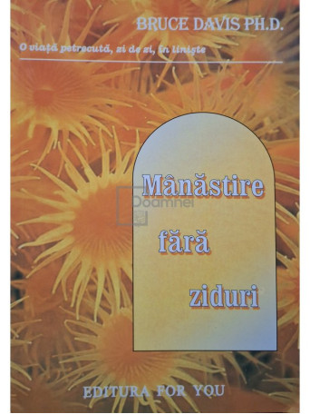 Bruce Davis - Manastire fara ziduri - 2004 - Brosata