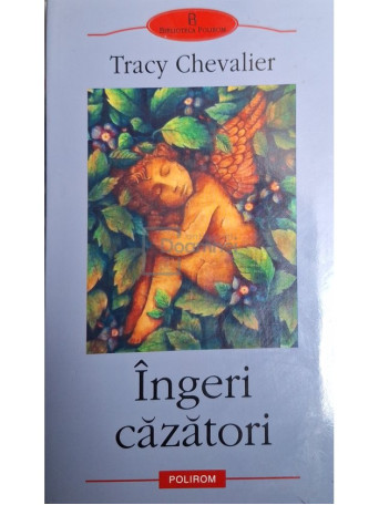 Tracy Chevalier - Ingeri cazatori - 2003 - Brosata