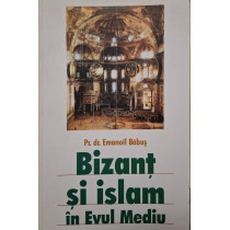 Bizant si islam in Evul Mediu