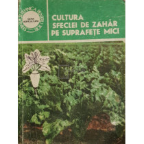 Cultura sfeclei de zahar pe suprafete mici