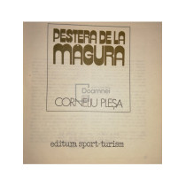 Pestera de la Magura