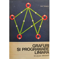 Grafuri si programare liniara