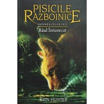 Pisicile razboinice - Raul intunecat