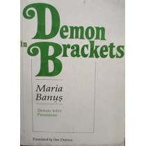 Demon in Brackets