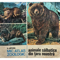 Mic atlas zoologic - Animale salbatice din tara noastra