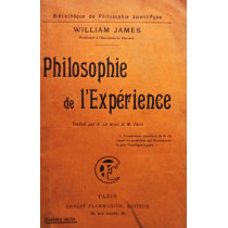 Philosophie de l'Experience