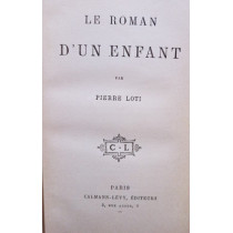 Le roman d'un enfant