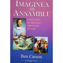 Imaginea de ansamblu