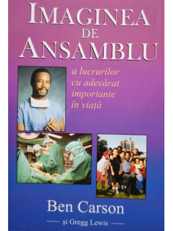 Imaginea de ansamblu