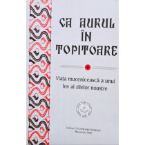 Ca aurul in topitoare