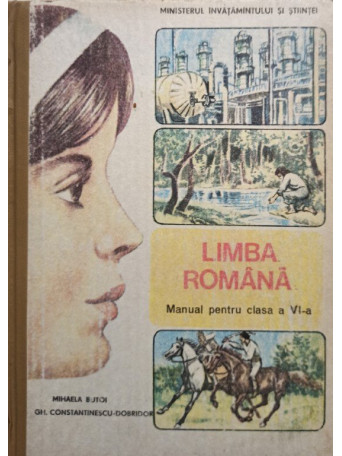 Limba romana - Manual pentru clasa a VIa