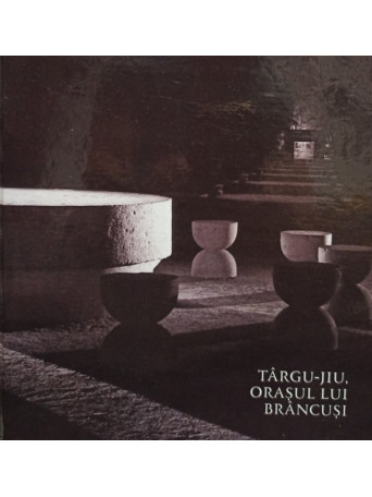 TarguJiu, orasul lui Brancusi